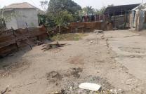 Parcelle vide en vente à Terre jaune, N'sele mediacongo