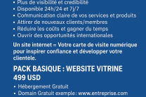 VOTRE ENTREPRISE A BESOIN D’UN SITE INTERNET MODERNE  services_propositions_d_affaires