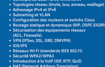 FORMATION PROFESSIONEL EN RESEAU INFORMATIQUE mediacongo