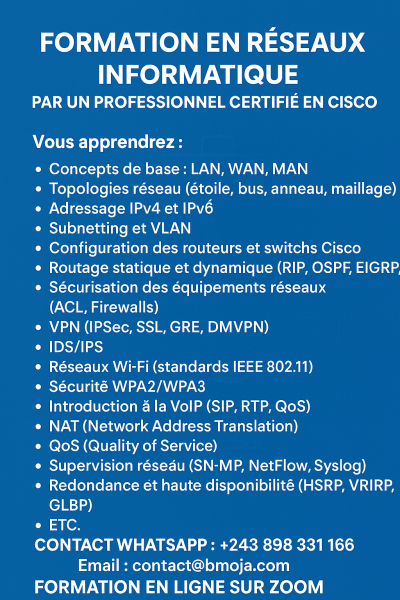FORMATION PROFESSIONEL EN RESEAU INFORMATIQUE