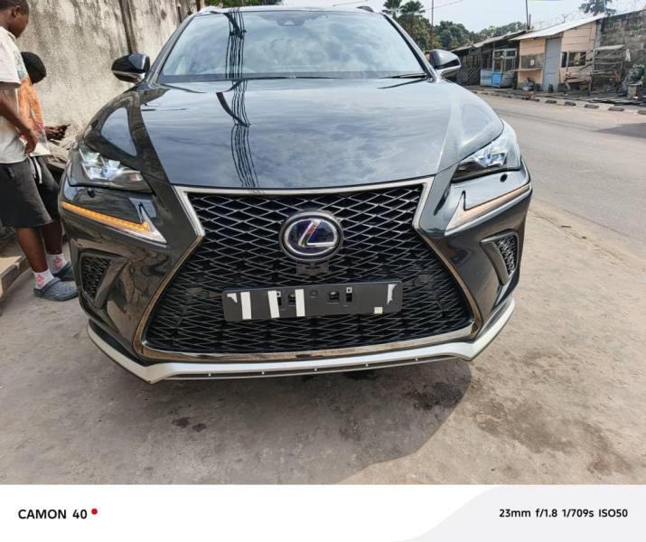 Lexus NX300h 2021 hybride 