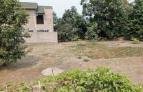 3 terrains plats à vendre à pigeon 90000 dollars à discuter 250000 dollars à discuter 180000 dollars à discuter mediacongo