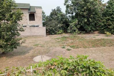 immobilier_vente_location Mme Mimi  