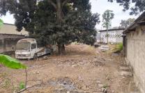 Vente d'une concession dans la commune de ngaliema/gramalique sur la grande route de Matadi  Morcèlement de 4 parties, dont chaques parties a une superficie de 13 m/ 20 m    Prix:  mediacongo