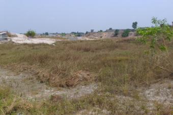 Vente des parcelles discutable Nsele