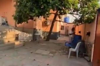 Parcelle habitable en vente  Ngaliema  Jolie Parc Mboka Sika  