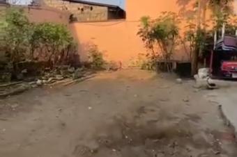 Parcelle habitable en vente  Ngaliema  Jolie Parc Mboka Sika  