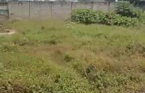 Terrain sur Saïo à Kasa-Vubu, 20 sur 50m,  mediacongo