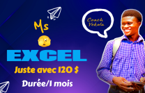 Excel professionnel  mediacongo