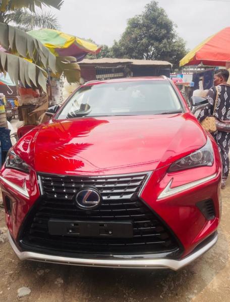 Lexus nx300