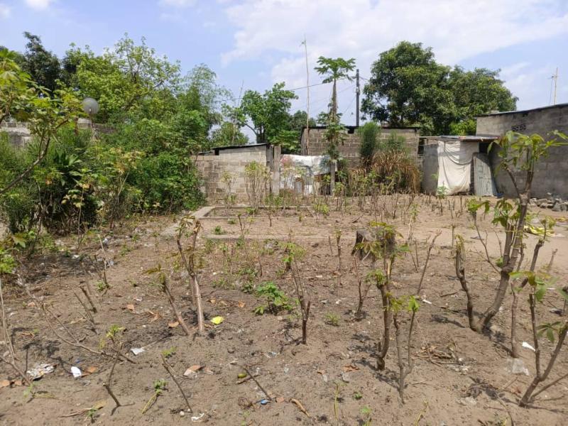 Vente terrain avec fondation  Nsele Camp PM 