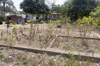 Vente terrain avec fondation  Nsele Camp PM 