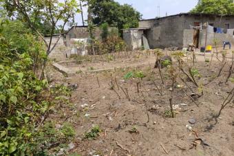 Vente terrain avec fondation  Nsele Camp PM 