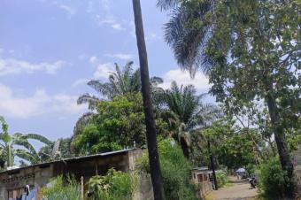 Vente terrain avec fondation  Nsele Camp PM 