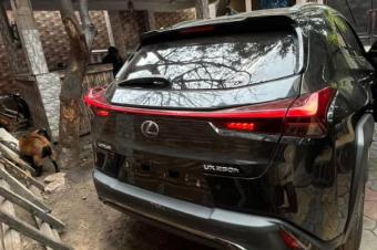 Lexus UX250 2022