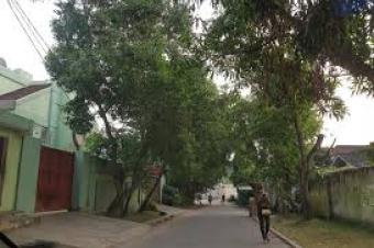 Plusieurs terrains  Macampagne 10 sur 22m 250.000