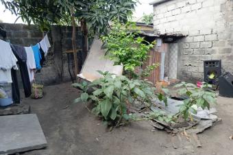 Vente dune parcelle locative  Ndjili  Quartier 6