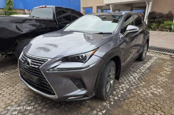 Lexus NX300h 2020 hybride 