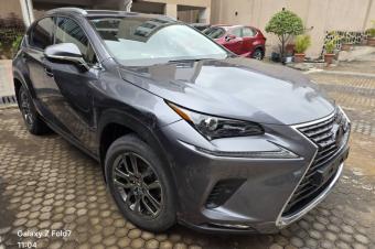 Lexus NX300h 2020 hybride 