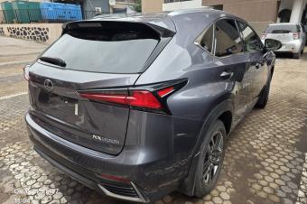 Lexus NX300h 2020 hybride 
