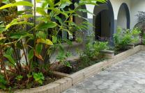 Vente à Gombe/Zone A  Réf : Roi BAUDOUIN  Dimension : 2000 mètres carrés mediacongo