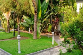 Vente  GombeZone A  Rf  Roi BAUDOUIN  Dimension  2000 mtres carrs