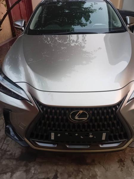 Lexus NX300h 2024 hybride 