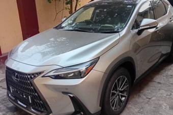 Lexus NX300h 2024 hybride 