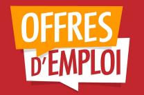 Opportunité d’emploi à travers une formation pratique recherche_d_emploi