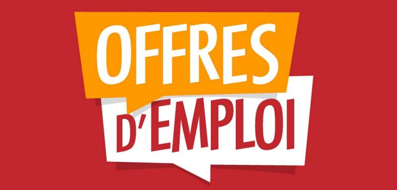 Opportunit demploi  travers une formation pratique