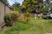 Terrain à Mimosa, 520m2,   380.000$ à débattre immobilier_vente_location