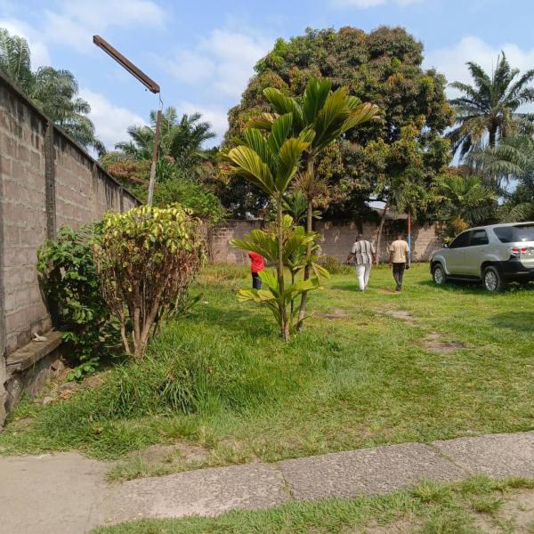 Terrain  Mimosa 520m2   380.000  dbattre