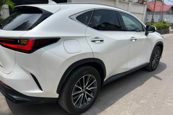 Lexus NX450H 2024 Hybridlectrique 