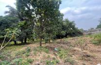 Terrain à vendre à Ngaliema, binza pigeon mediacongo