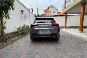 Lexus UX 250 2020