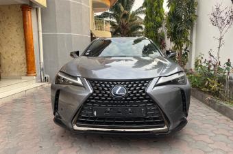 Lexus UX 250 2020