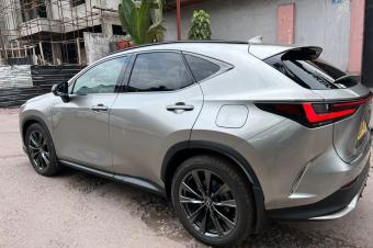 Lexus NX450h 2024 