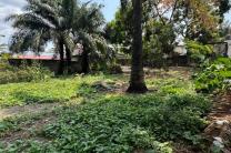 Concession à Limete, 4 hectares, 16.000.000$ immobilier_vente_location