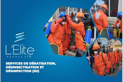 services_propositions_d_affaires L'Elite Agency Sarl  