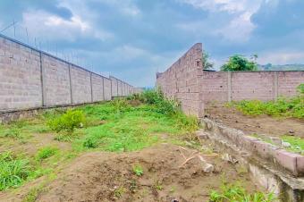  TERRAINS  VENDRE  NSELE BAMBOU QUARTIER BOLINGO