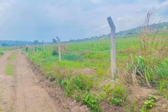  TERRAINS  VENDRE  NSELE BAMBOU QUARTIER BOLINGO
