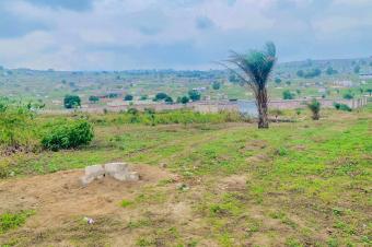  TERRAINS  VENDRE  NSELE BAMBOU QUARTIER BOLINGO