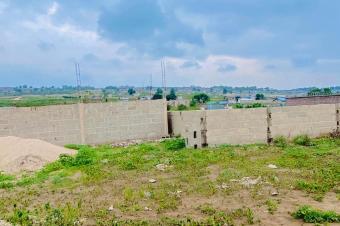  TERRAINS  VENDRE  NSELE BAMBOU QUARTIER BOLINGO