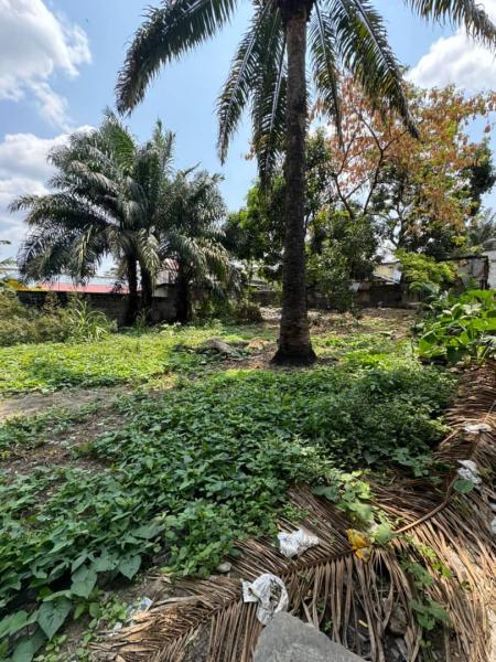 Concession  Limete 4 hectares 16.000.000