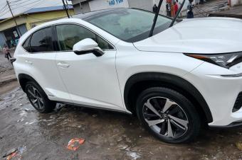 Lexus nx300h 