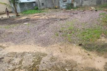 Vente  Terrain  Binza Pigeon dans la commune de Ngaliema 