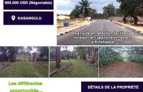 UNE FERME EN VENTE À KASANGULU Limité d'un côté de la rivière N'djili, en vente à 600.000$ Négociable mediacongo