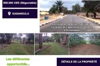 UNE FERME EN VENTE À KASANGULU  Limité d'un côté de la rivière N'djili, en vente à 600.000$ Négociable  immobilier_vente_location
