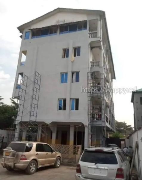 Immeuble  vendre  ngaliema 