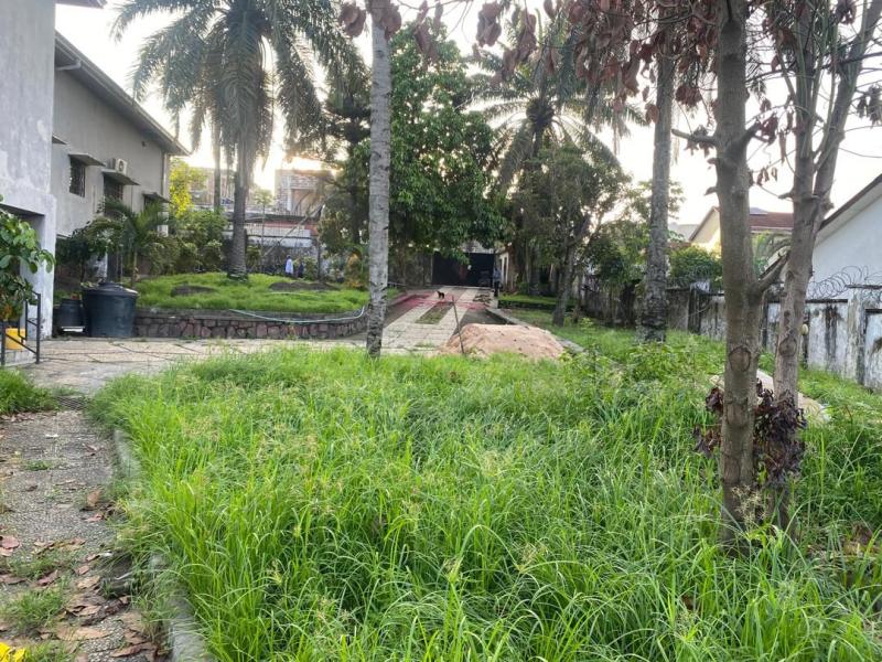 MA CAMPAGNE HAUTE TENSION  DEUX TERRAINS  VENDRE 